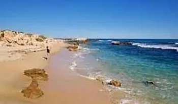 Naturopath Trigg 6029