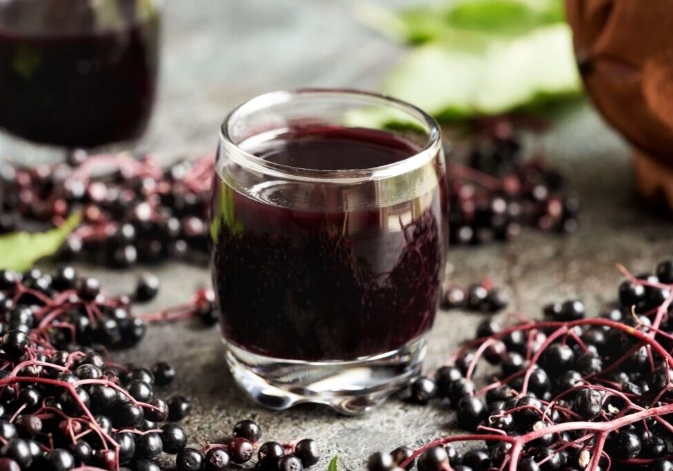 Elderberry syrup image (1)